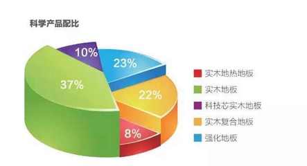 大王椰地板金華店盛大開業(yè)銷售火爆，精準(zhǔn)市場(chǎng)調(diào)研下的六大王牌政策解析
